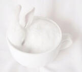 non-kpop artists i 𑣲